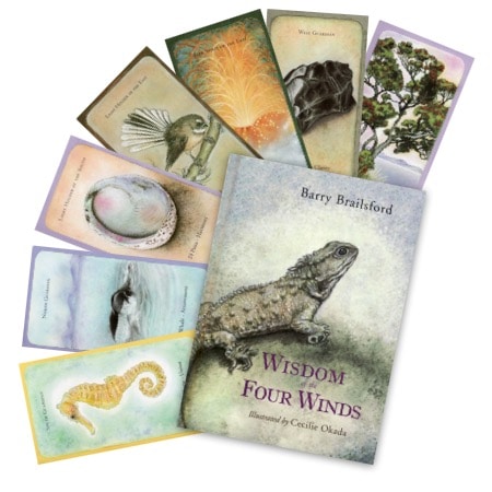 Shamanic Wisdom Cards, Tarot Cards by Barry Brailsford